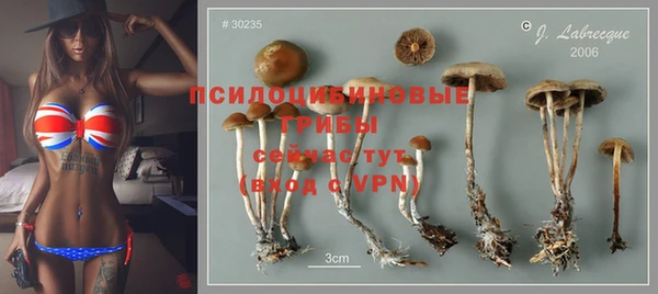 трава Алексин