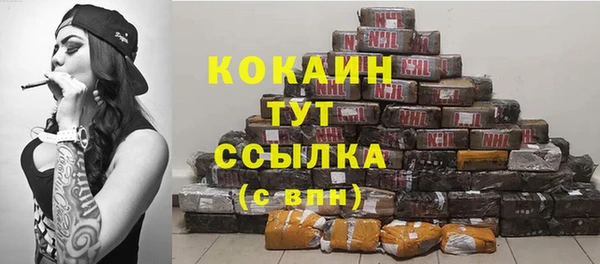 spice Алзамай