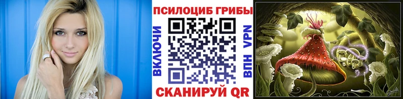 Псилоцибиновые грибы MAGIC MUSHROOMS купить закладку Северская