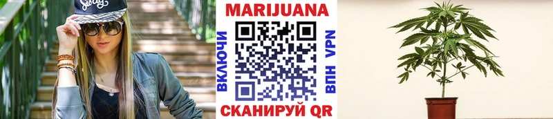 Канабис OG Kush  blacksprut зеркало  Северская 